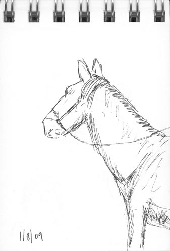 horse